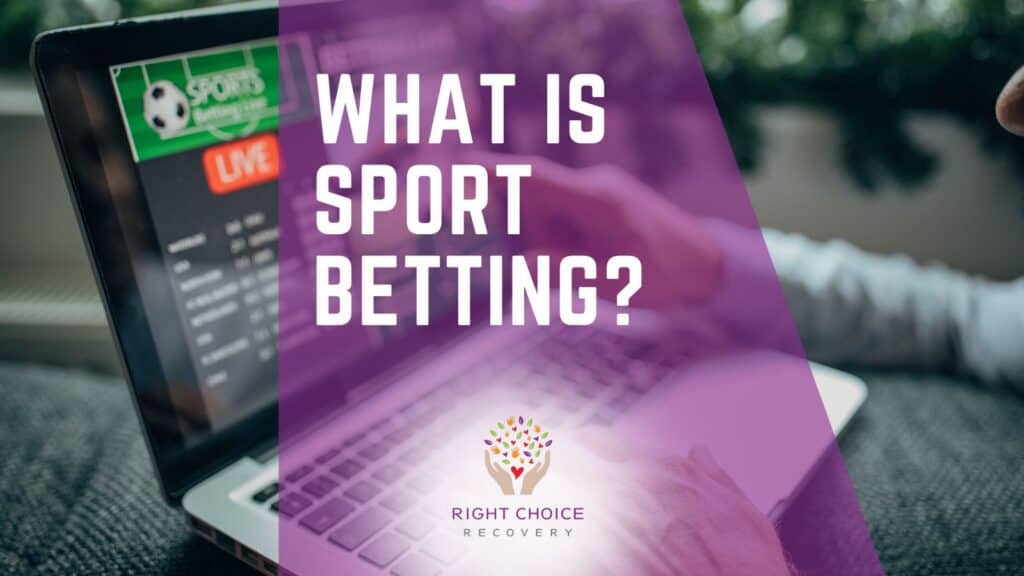 Exploring Casinos Supporting Browser Extension Wallets 6 Exploring Casinos Supporting Browser Extension Wallets 6