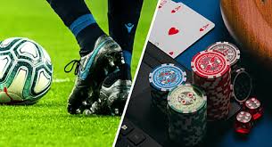 Betwinner Your Ultimate Guide to Sports Betting